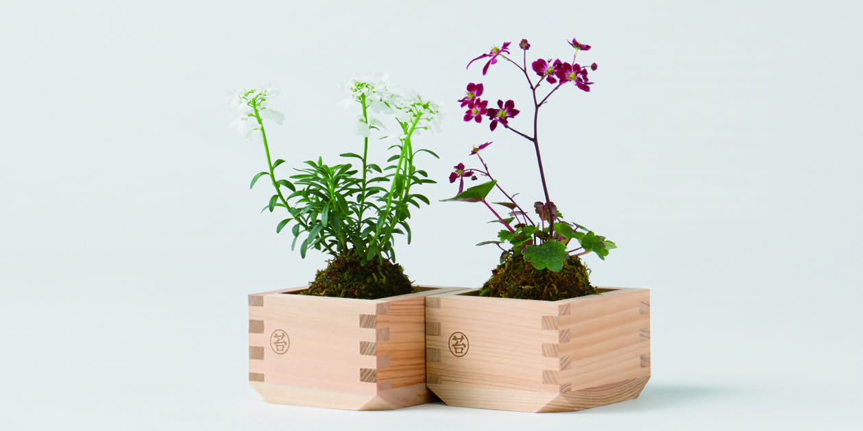 日本の伝統的な花卉花木及び苔商材ブランドを 世界に More Than Project