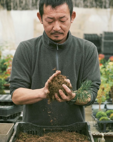 日本の伝統的な花卉花木及び苔商材ブランドを 世界に More Than Project